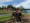 Eine Frau in schwarzer Kleidung führt ein Pony auf einem sandigen Weg, auf dem ein Kind mit Helm reitet. Im Hintergrund sind bunte Häuser und Bäume unter einem blauen Himmel mit Wolken zu sehen.