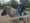 Ein Mann und ein kleines Kind sitzen gemeinsam auf einem grauen Pony. Beide tragen Schutzhelme. Der Mann hält das Kind fest, während das Pony auf einem Reitplatz mit Holzzaun und Bäumen im Hintergrund steht.